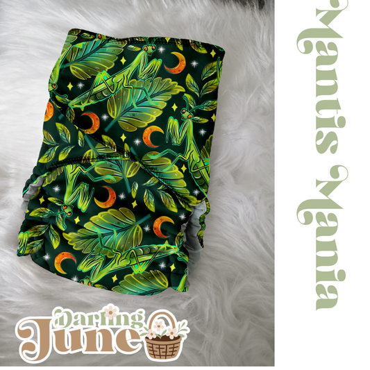 Mantis Mania MTO